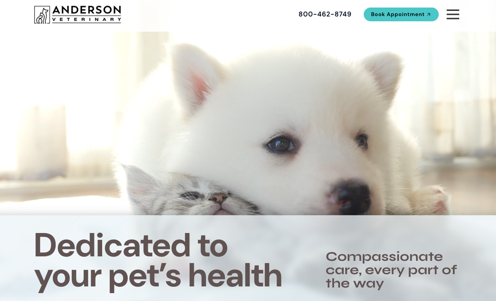 Zurich desktop view of website