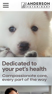 Zurich mobile view of website