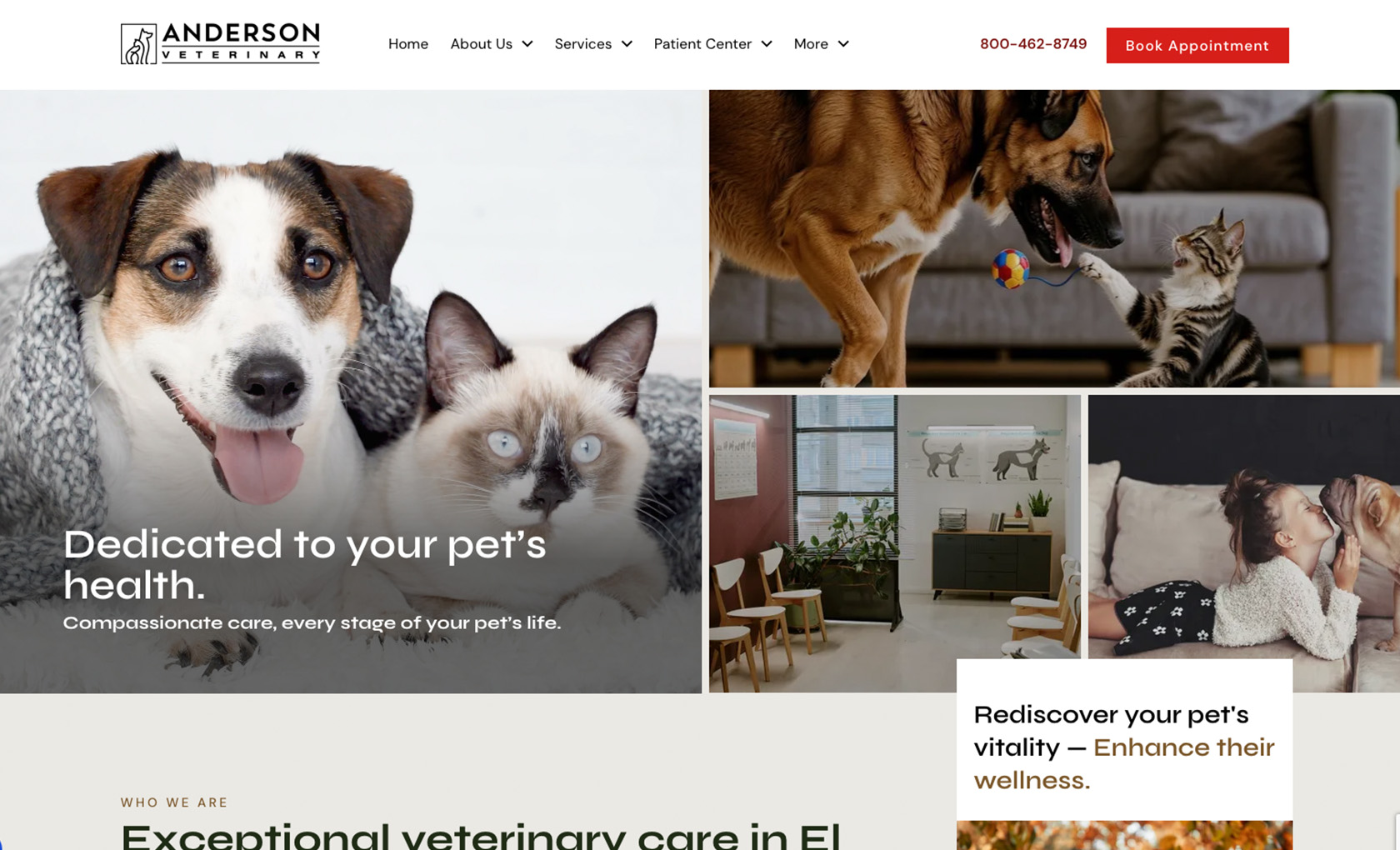 Lisbon II desktop view of website